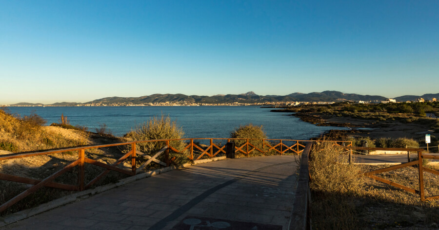 Carnatge playa para perros mallorca