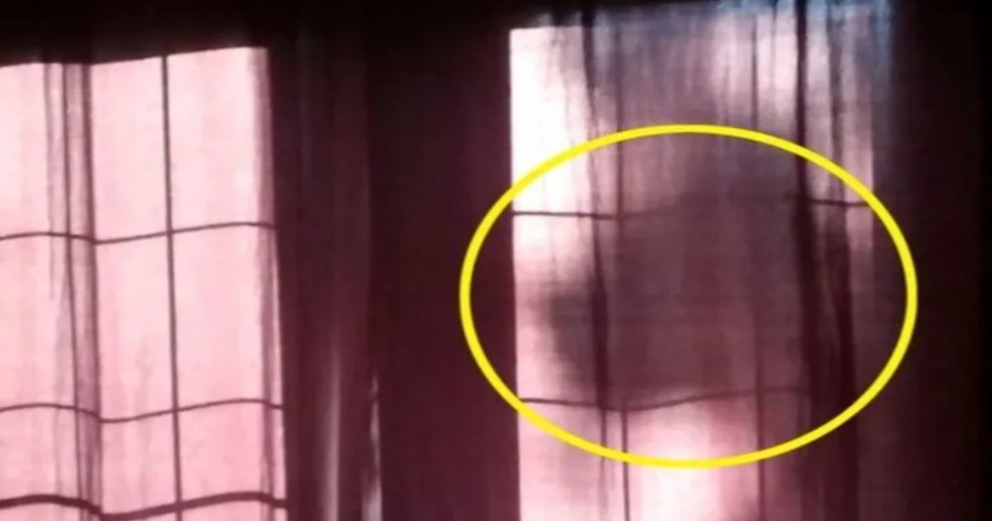 aparicion fantasma perro cortina