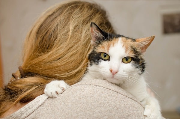 gato en brazos de una mujer
