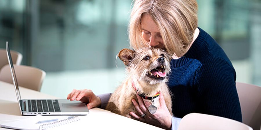 Frau knuddelt Hund bei Arbeit