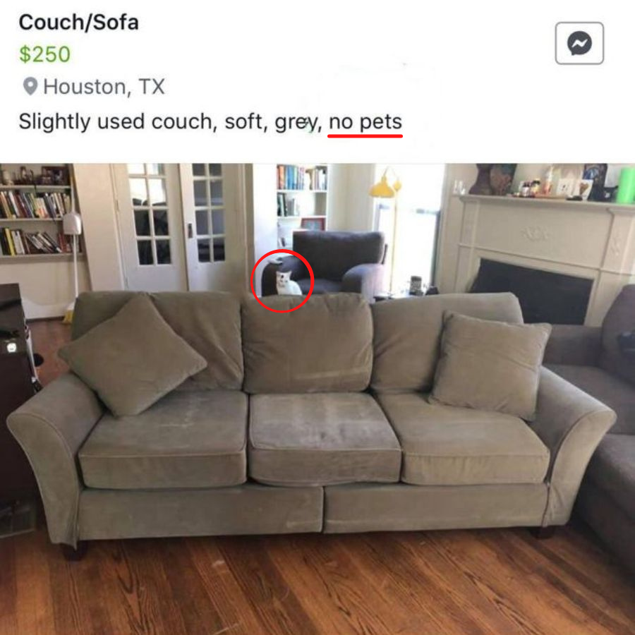 Sofa von Katzenhalter