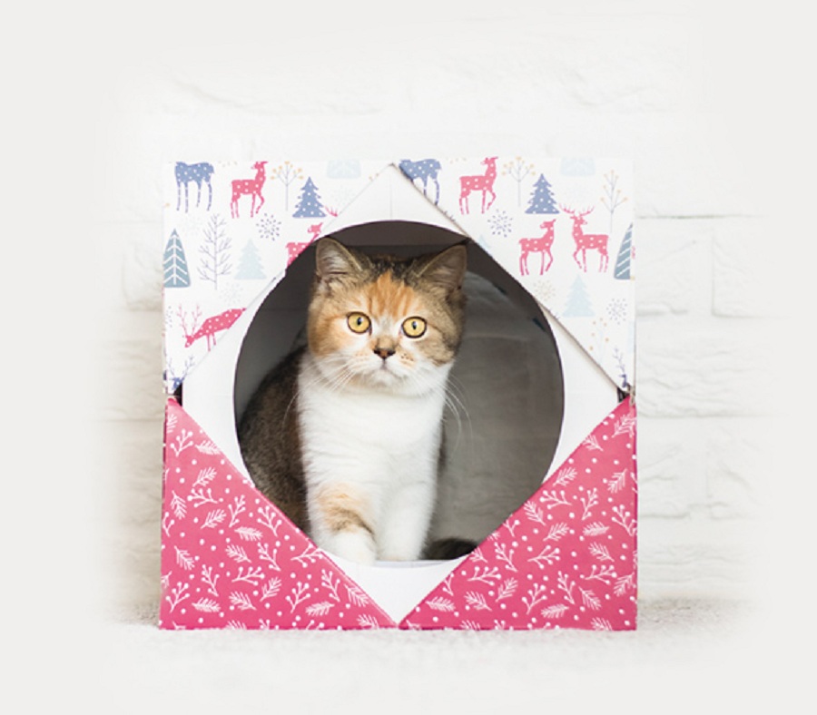 gato metido en caja SCHESIR de navidad