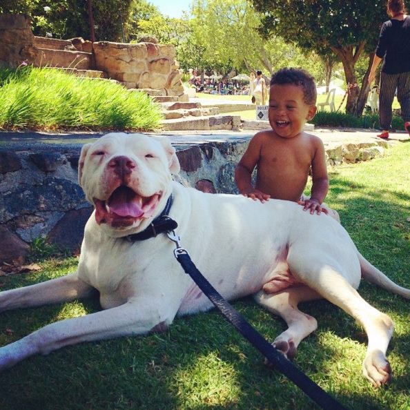 perro y niño riendo