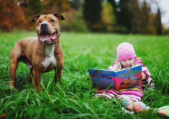 niña leyendo en parque junto a su perro