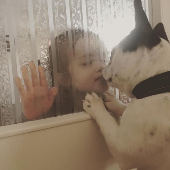 perro y niña beso