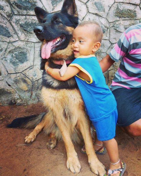 niño abraza a pastor aleman