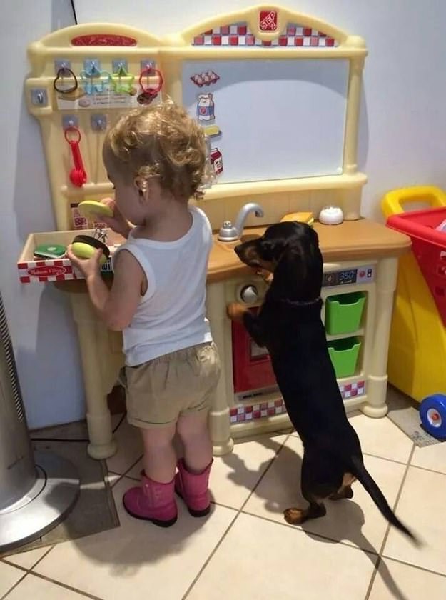 perro y niño jugando en cocina