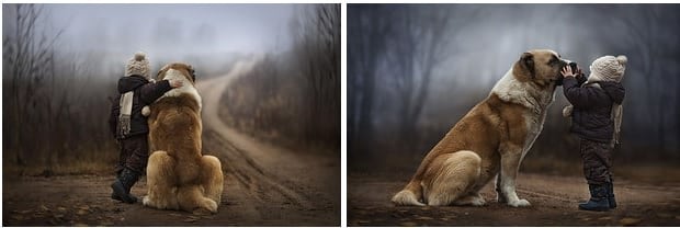 perro y niño amistad