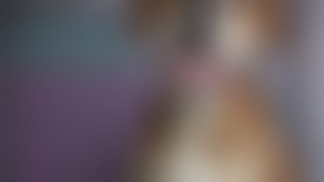 achtergelaten hond met een brief