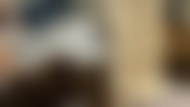 chiot et jeu en bois