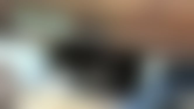 Ours caché dans une cave