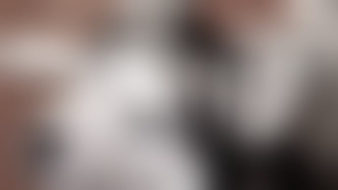 Sierra the Husky dog detects cancer