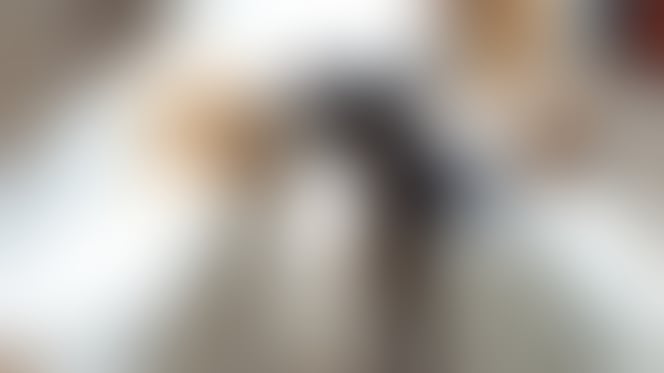 Een beagle en een geit