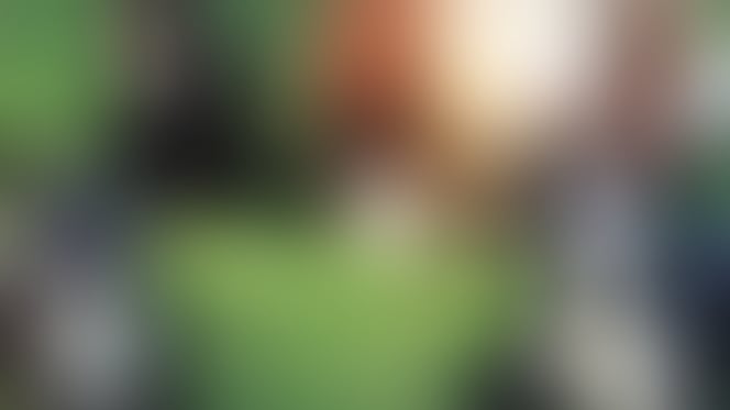 Une vache entourée de chiens