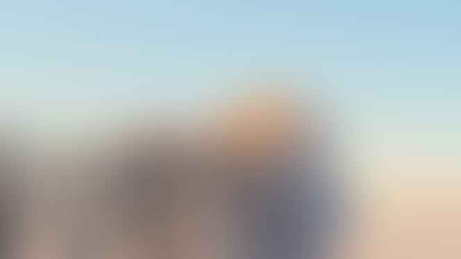 Veterinario está tratando a una vaca en una granja