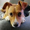Timo aus 47799 Krefeld sucht sein Glück!