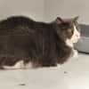 Mimi