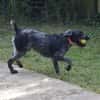 PEPPER