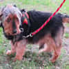 FILOU