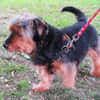 FILOU