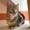 MINETTE