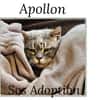APOLLON