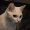 SAMY