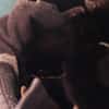 ANNABELLE