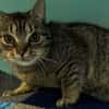 MINET
