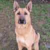 ARKO