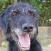 FIDO
