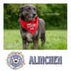 ALINCHEN * zauberhafte Dame
