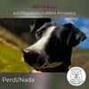 Perdi: Powerpaket in 66954 Pirmasens