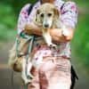 Gerettete Bea sucht ein Zuhause