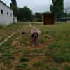 CESAR