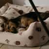 Romy (rencontre en cours)