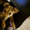 Romy (rencontre en cours)