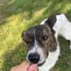 BUDDY * ein ganzer Kerl