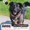 SUNNY: Kuschelmaus mit Köpfchen
