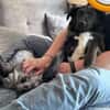 SUNNY: Kuschelmaus mit Köpfchen