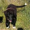 Plüschbär Elvis sucht seine Familie