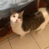 SISKO