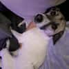 HOPE sucht ein liebevolles Zuhause