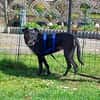Bella8 sucht ein Zuhause