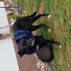 Bella8 sucht ein Zuhause