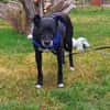 Bella8 sucht ein Zuhause