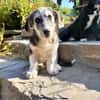 SIMON ist ein Rundum-sorglos-Paket
