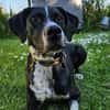Hagen sucht sportliches Zuhause