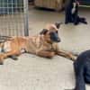 Hübsche RONJA wartet auf ihr Glück