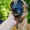 Hübsche RONJA wartet auf ihr Glück